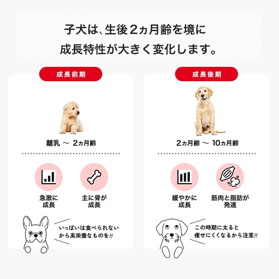 ロイヤルカナン　小型犬用　生後２カ月頃の切り替えセット　幼齢１ｋｇ　ジップ付＋子犬２ｋｇ　ジップ付＋パウチ　お一人様５点限り | ロイヤルカナン | 03