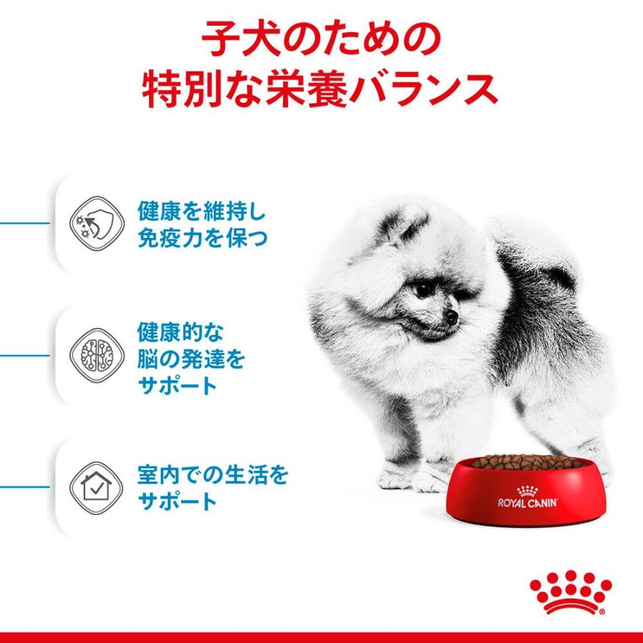 ロイヤルカナン（ROYAL CANIN） 超小型・小型の室内犬用 生後10カ月