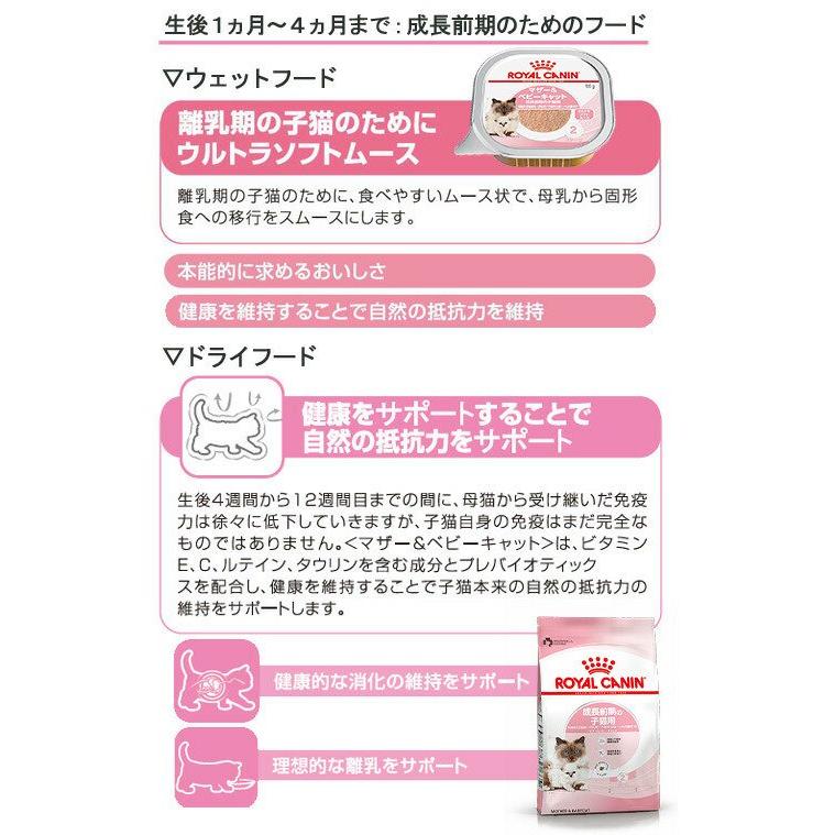 ロイヤルカナン（ROYAL CANIN） 猫 成長前期の子猫用ドライウェット
