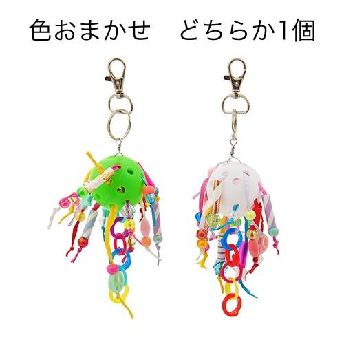 鳥かご　セキセイインコ飼育セット_1