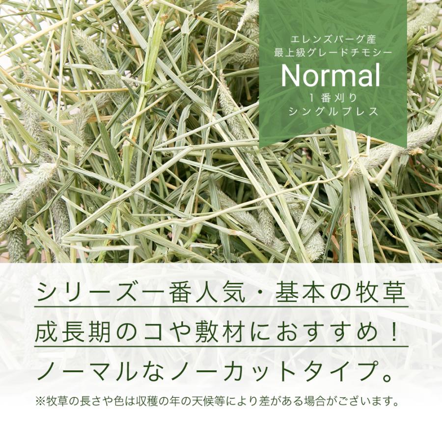 令和５年産　スーパープレミアムホースチモシーチャック袋　６００ｇ×１０袋（６ｋｇ）　お一人様１点　うさぎ　小動物　牧草｜chanet｜02