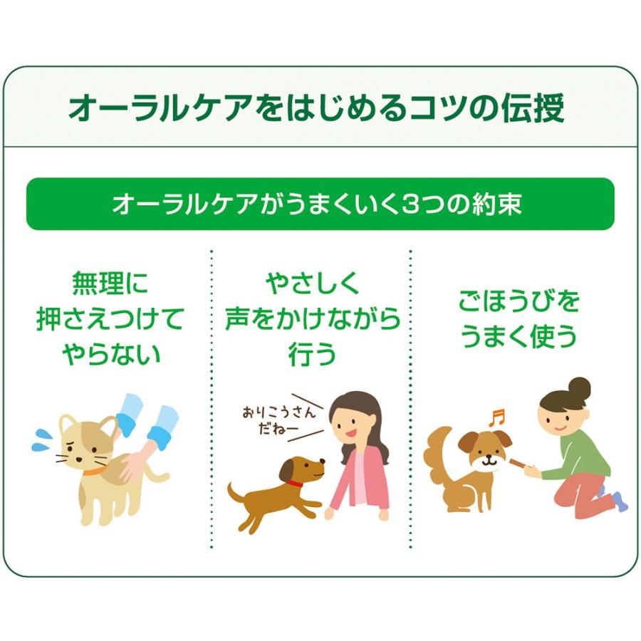 ライオン　ペットキッス　ＰＥＴＫＩＳＳ　食後の歯みがきガム　無添加　やわらかタイプ　超小型犬〜小型犬用　８０ｇ（約３０本）　犬　歯磨き　おやつ | PETKISS | 06
