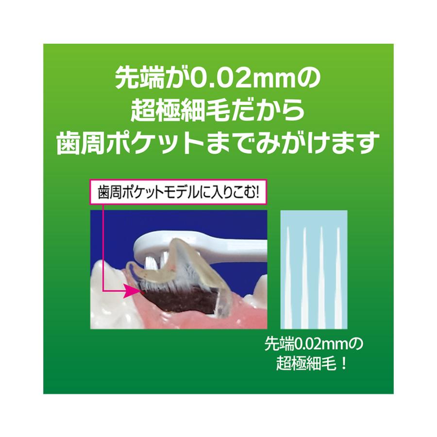 ライオン　ＰＥＴＫＩＳＳ　デンタルブラシ　大きめヘッド　１本　犬　猫　歯ブラシ　歯磨き | LION（ペット） | 02