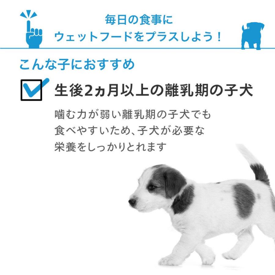 【送料無料】ロイヤルカナン　子犬用（生後１０カ月齢まで）ウェット３袋＋エクストラスモール　１．５ｋｇ　ジップ付　お一人様１点限り | ロイヤルカナン | 02
