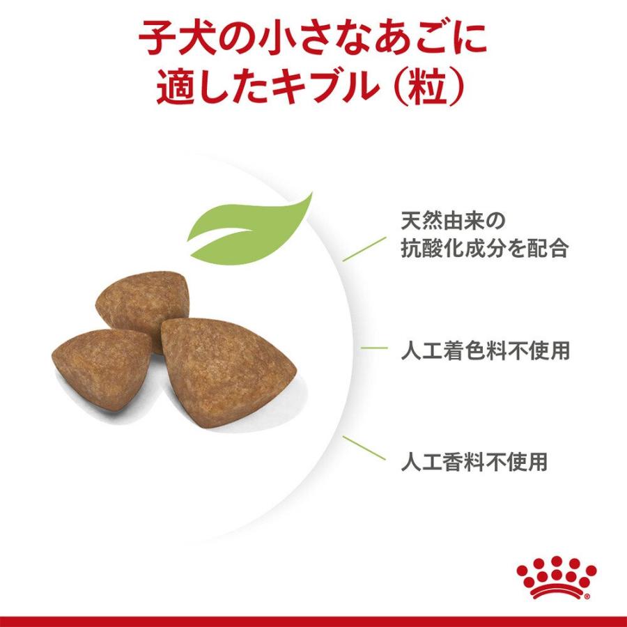 【送料無料】ロイヤルカナン　子犬用（生後１０カ月齢まで）ウェット３袋＋エクストラスモール　１．５ｋｇ　ジップ付　お一人様１点限り | ロイヤルカナン | 05