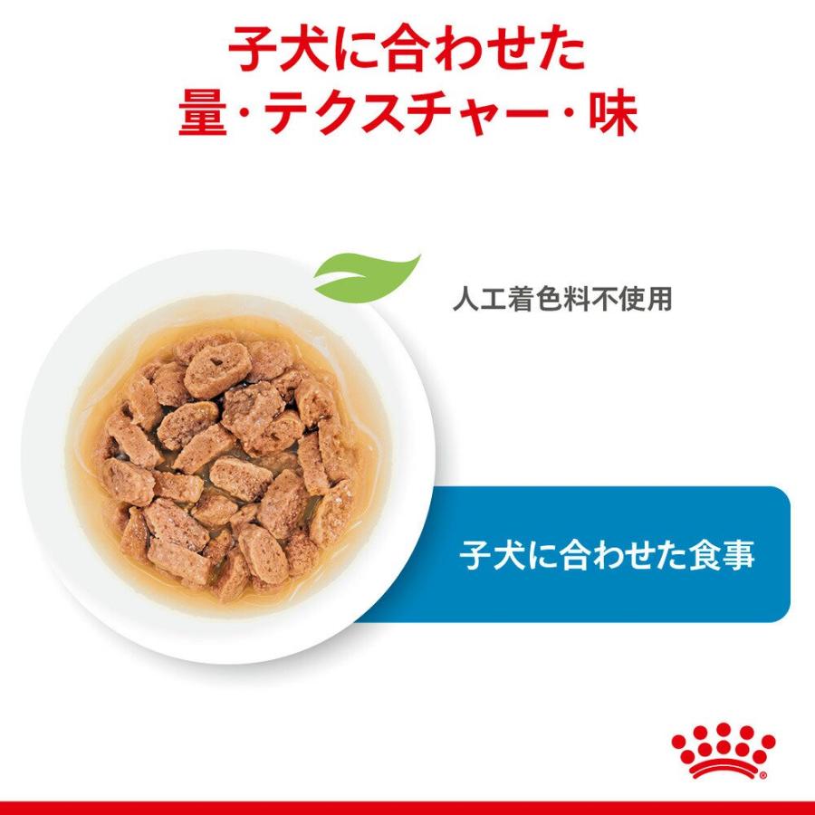 【送料無料】ロイヤルカナン　子犬用（生後１０カ月齢まで）ウェット３袋＋エクストラスモール　１．５ｋｇ　ジップ付　お一人様１点限り | ロイヤルカナン | 06