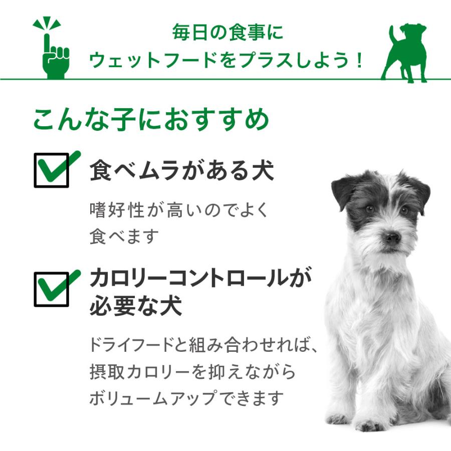 ロイヤルカナン　避妊・去勢した小型犬用　成犬セット　ウェット３袋　＋　ミニ　ステアライズド　２ｋｇ　ジップ付　お一人様５点限り｜chanet｜02