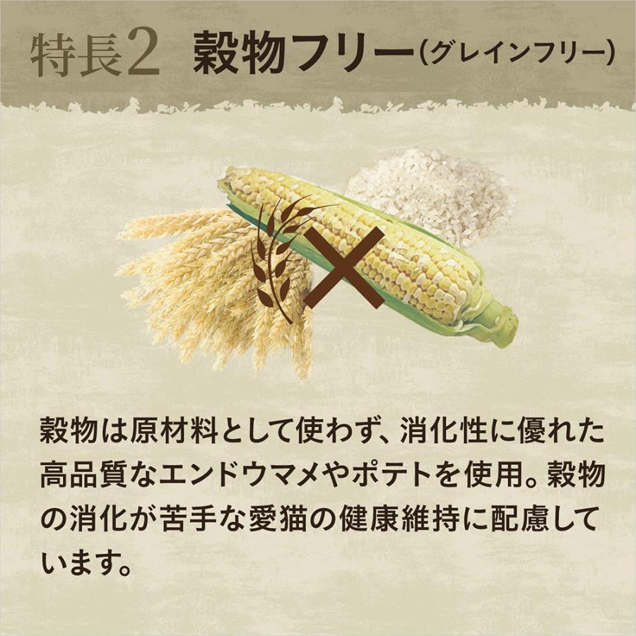 ニュートロ　猫　キャット　ワイルド　レシピ　アダルト　チキン　成猫用　４００ｇ　＋　ワイルド　レシピ　パウチ　おまけ付 | WILD RECIPE | 02
