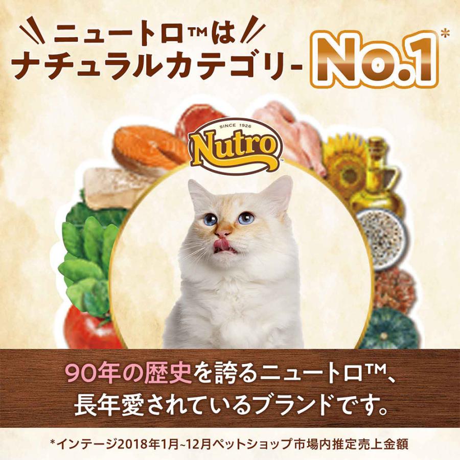 ニュートロ　猫　ナチュラルチョイス　食にこだわる猫用　アダルト　チキン　２ｋｇ　＋　デイリー　ディッシュ　アダルト　パウチ　おまけ付｜chanet｜03