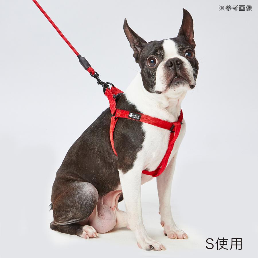 ペティオ　Ｐｏｒｔａ　ハーネス　Ｓ　レッド | Porta | 01