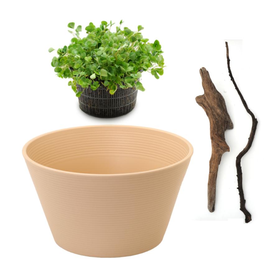 ビオトープ オリジナル睡蓮鉢ベージュとこんもりムチカの簡単ビオトープセット 流木付き 本州四国限定 チャーム Charm Paypayモール店 通販 Paypayモール