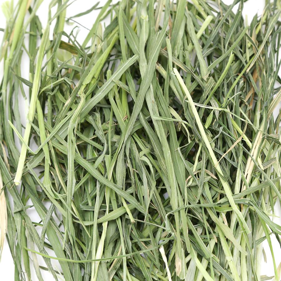令和８年産　国産牧草　やみつきオーツヘイ　１００ｇ　牧草　うさぎ　モルモット　ＵＳＡＹＡＭＡ | Leaf Corp | 01