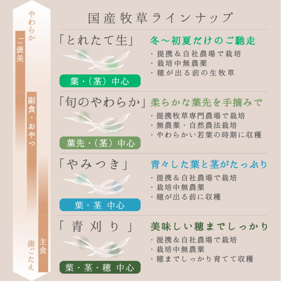令和８年産　国産牧草　やみつきオーツヘイ　１００ｇ　牧草　うさぎ　モルモット　ＵＳＡＹＡＭＡ | Leaf Corp | 05