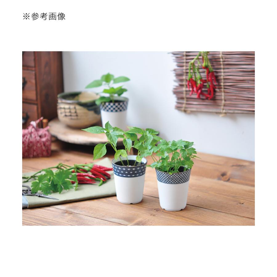 聖新陶芸 染付小紋 全商品オープニング価格 薬味小鉢 しそ