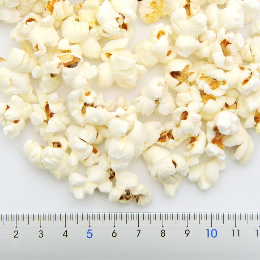 国産 ポップコーン チキン風味 ３０ｇ 無塩 無添加 無着色 犬猫用おやつ ｐａｃｋｕｎｘｃｏｃｏａ チャーム Charm Paypayモール店 通販 Paypayモール