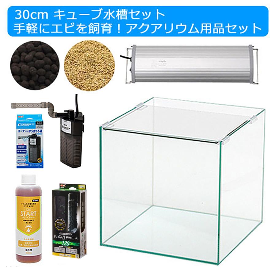 チャーム（charm） 30cmキューブ水槽セット 手軽にエビを飼育