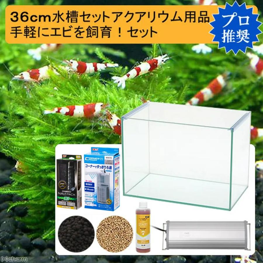 チャーム（charm） 36cm水槽セット 手軽にエビを飼育