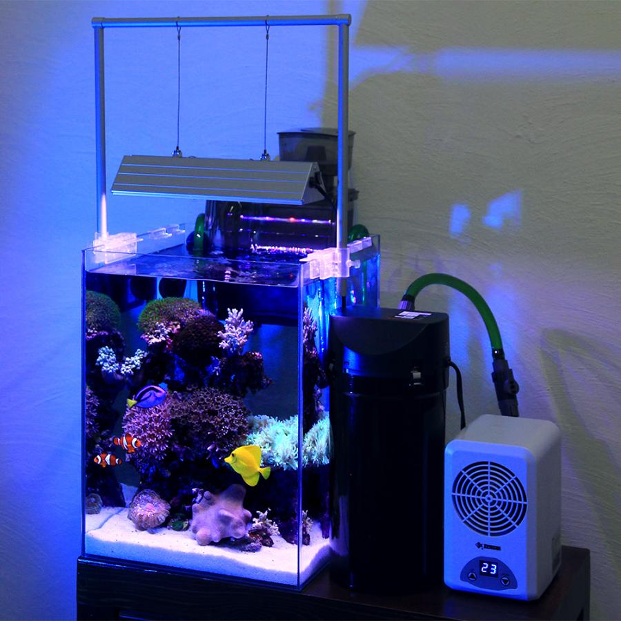 チャーム(ペット) (海水魚)30H海水水槽セット 海水魚 チャーム(ペット) (海水魚)30H海水水槽セット 海水魚