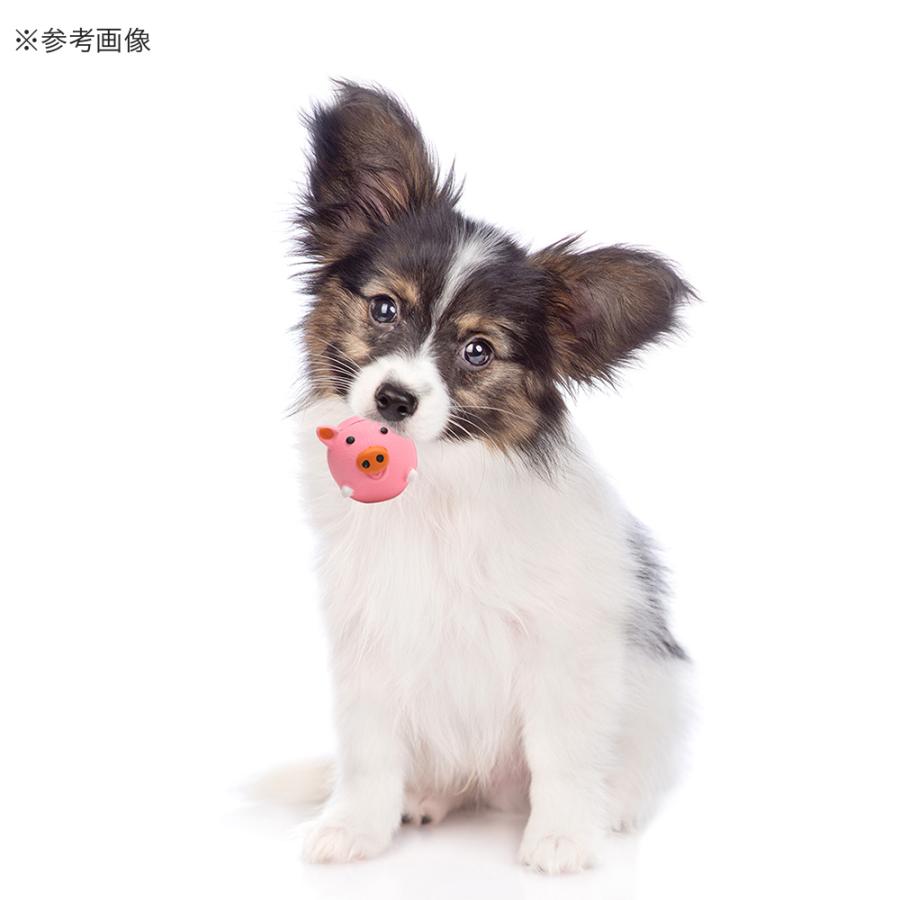 犬　おもちゃ　ループ　フレンディ　プーピーズ　チャビーブル | ROOP | 04