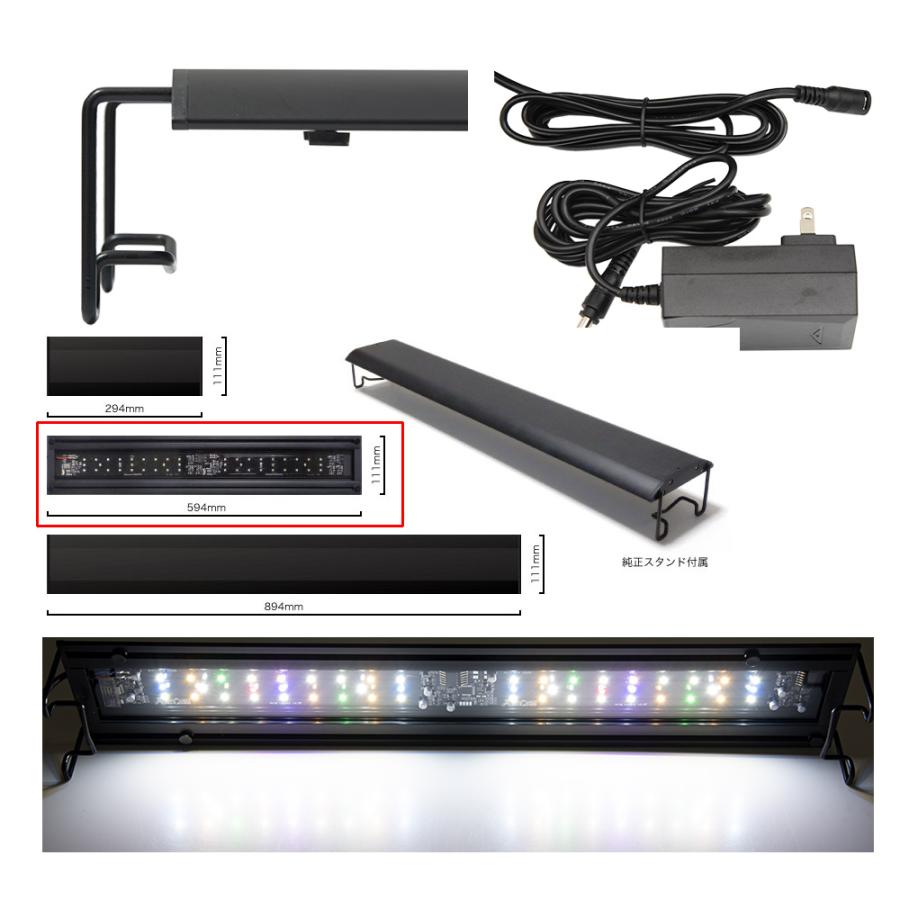 volxjapan ボルクスジャパン Grassy Wing2 60