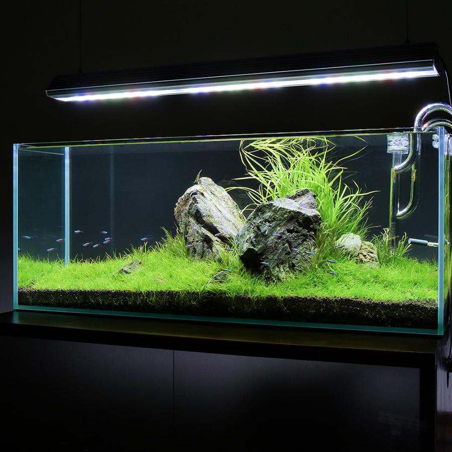 アクロ ガラス水槽 アクロ90スリム 90×30×36cm 180 アクロ ガラス水槽 アクロ90スリム 90×30×36cm 180