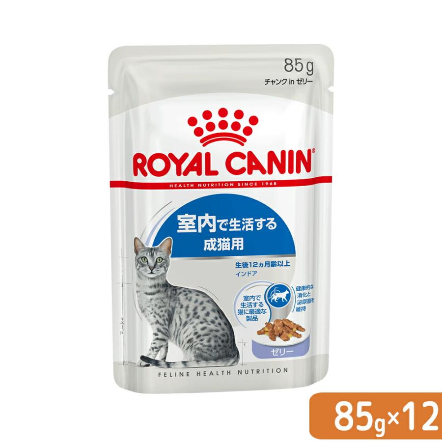 ロイヤルカナン セールSALE％OFF ＦＨＮ−ＷＥＴ 室内で生活する成猫用 
