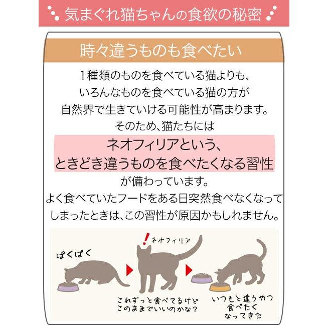 ロイヤルカナン（ROYAL CANIN） 猫 室内で生活する中高齢猫用 インドア