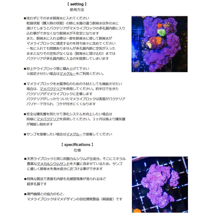 マメデザイン　マメロック・ミニ　グレー　ライブロックレプリカ　サンゴ　フラグ｜chanet｜05