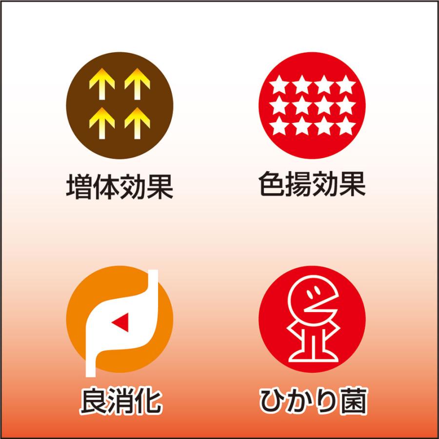 Hikari（ひかり） 鯉の餌 キョーリン 咲ひかり 朱雀 沈下 SS 1kg