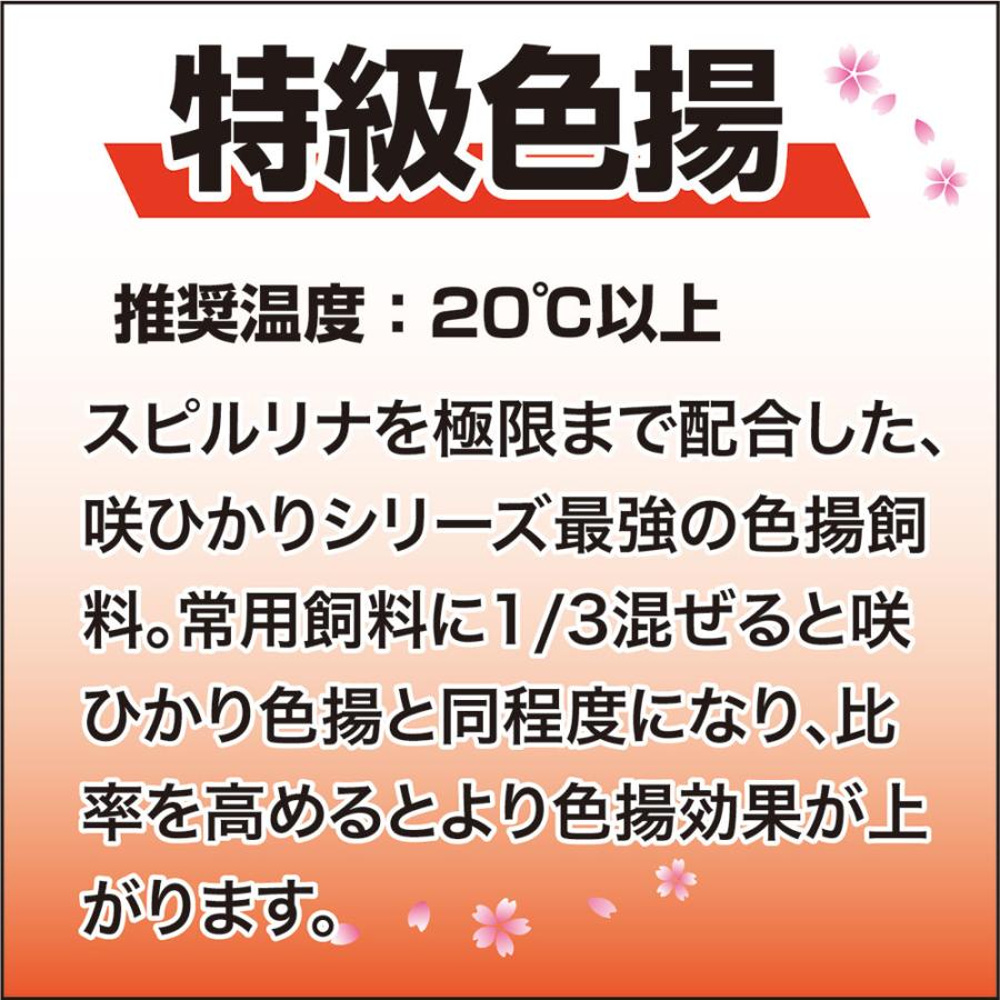 Hikari（ひかり） 鯉の餌 キョーリン 咲ひかり 朱雀 沈下 SS 1kg