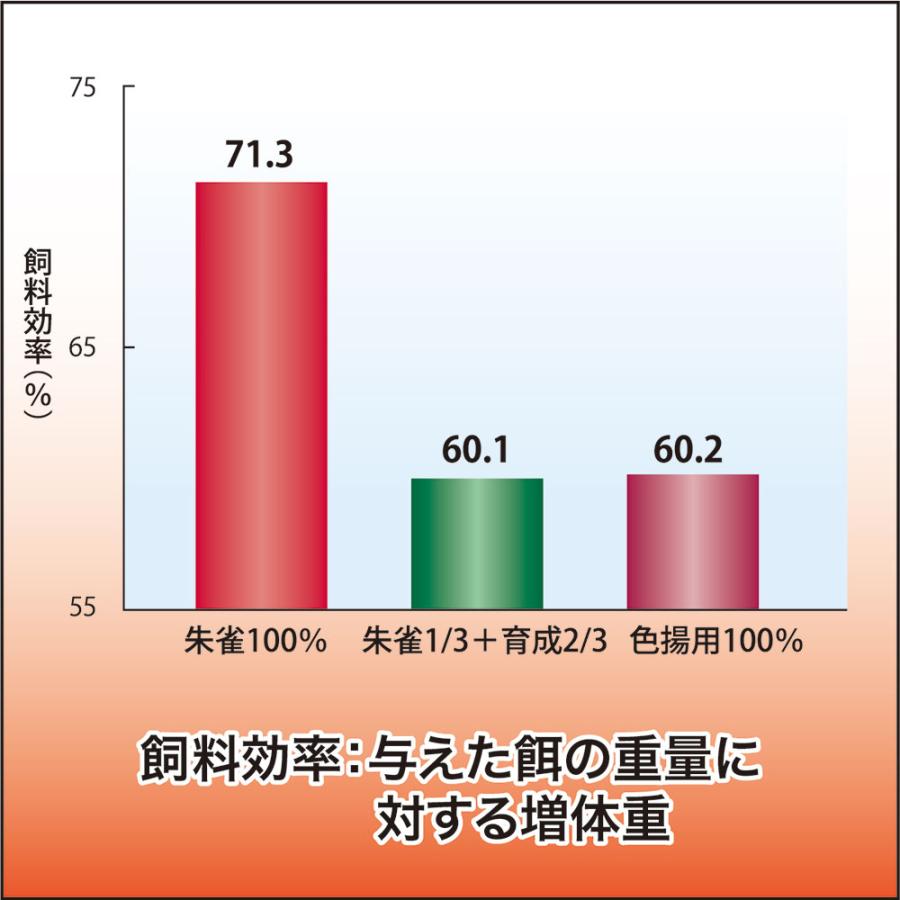 Hikari（ひかり） 鯉の餌 キョーリン 咲ひかり 朱雀 沈下 SS 1kg