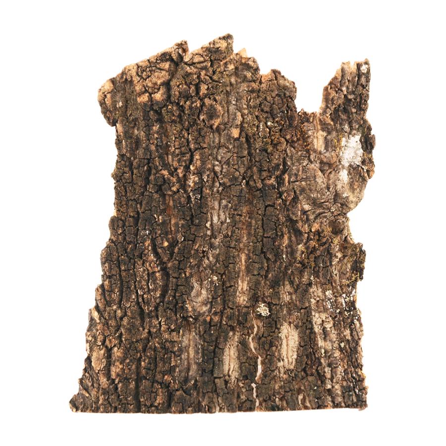 Leaf Corp 形状お任せ 板状コルク樹皮 250g 1枚 ガーデニング