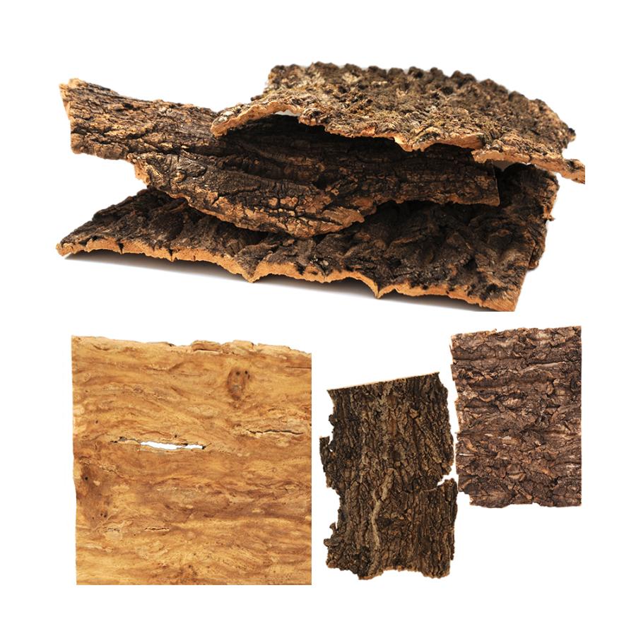 Leaf Corp 形状お任せ 板状コルク樹皮 250g 1枚 ガーデニング