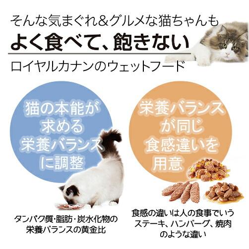 ロイヤルカナン　猫　室内で生活する中高齢猫用　インドア７＋　食べ比べセット　３種各１２袋　計３６袋　お一人様５点限り｜chanet｜04