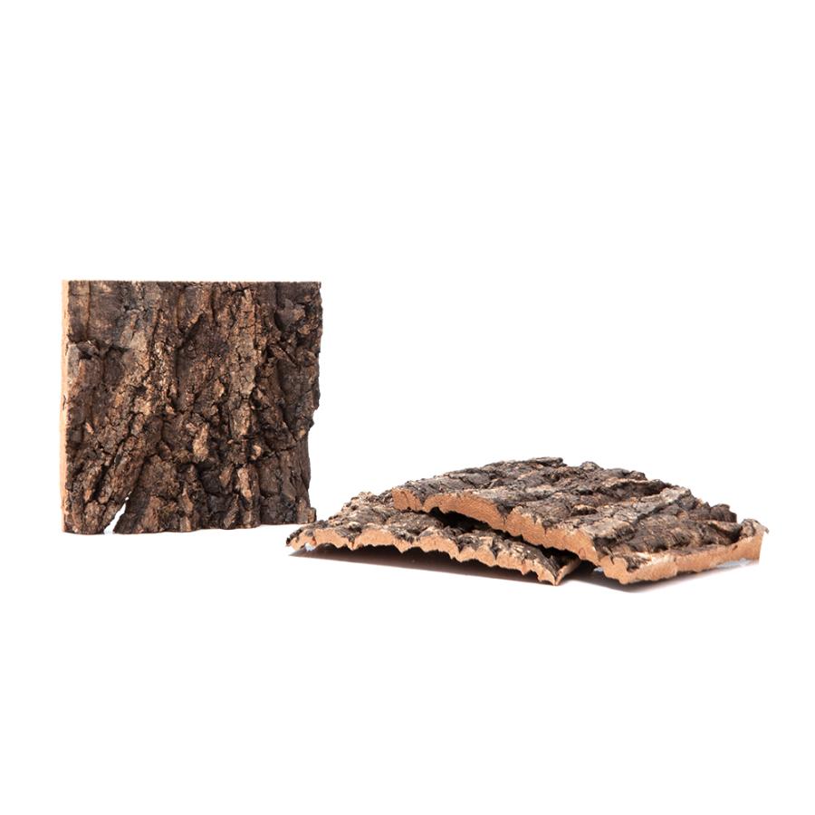 バックパネル用 コルク樹皮 １枚 １７３ １９０ｍｍ エキゾテラ グラステラリウム ナノキューブ用 ビバリウム チャーム Charm Paypayモール店 通販 Paypayモール