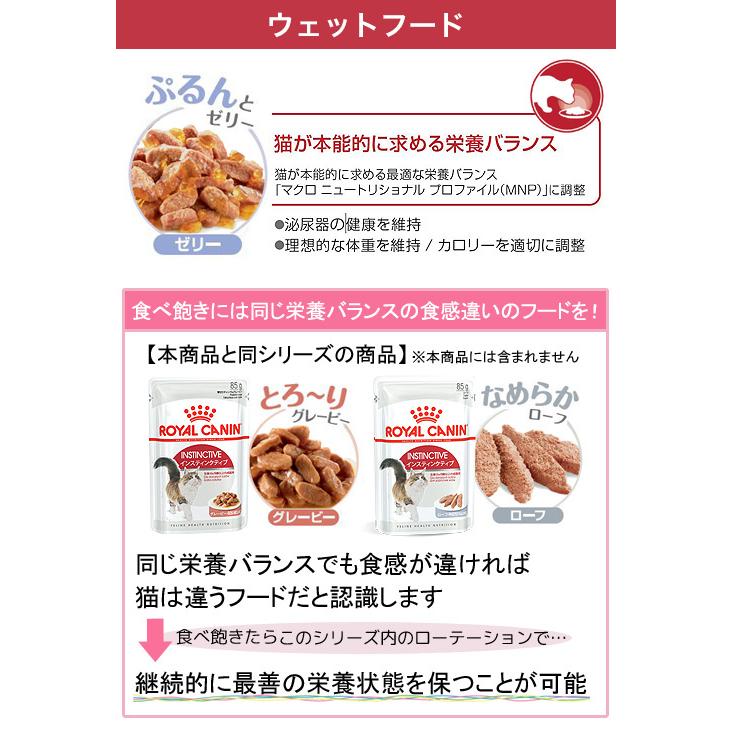 ロイヤルカナン　猫　味わい・食感にこだわる成猫用セット　ぷるんとゼリー　パウチ１２袋＋ドライフード　４００ｇ　ジップ無し｜chanet｜05