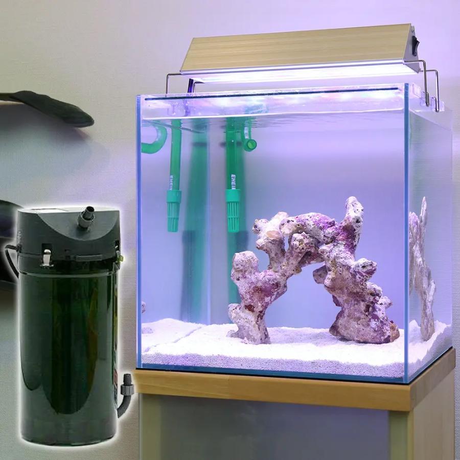 海水魚 海水魚飼育セット チャームオリジナル アクロ３００セット ｔｅｇａｒｕなし 本州四国限定 チャーム Charm Paypayモール店 通販 Paypayモール