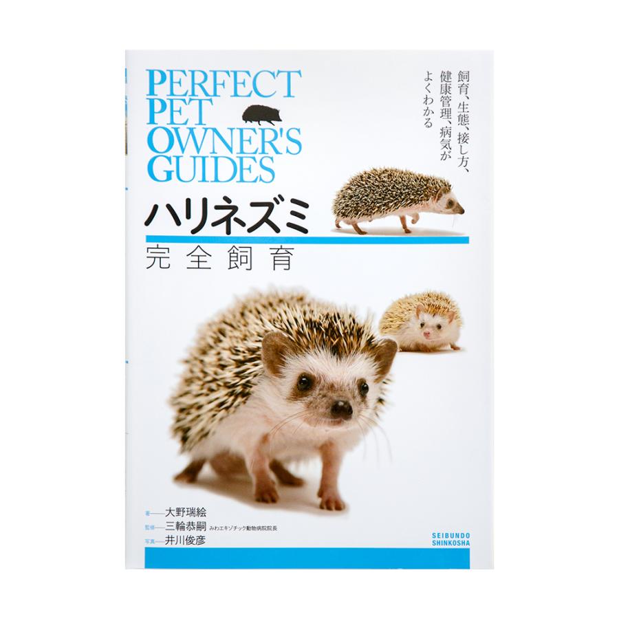 ハリネズミ 完全飼育 チャーム Charm ヤフー店 通販 Yahoo ショッピング