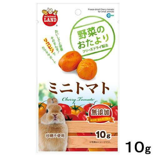 マルカン 野菜のおたより ミニトマト 10g 小動物 おやつ : チャーム