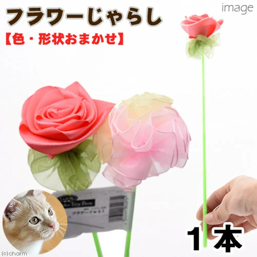 好評にて期間延長 猫じゃらし キャティーマン じゃれ猫 ｎｅｋｏｔｏｙｂｏｘ フラワーじゃらし 色 形状おまかせ Noteworthy Collectibles Com