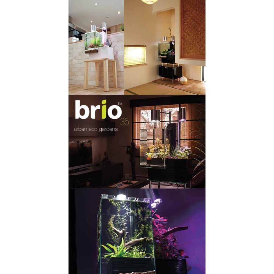 取寄せ商品 アクアポニクス水槽 brio35 ブラック 60Hz