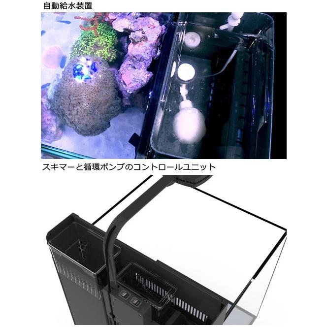 □レッドシー ＭＡＸ ＮＡＮＯ ＣＵＢＥ セット ブラック ６０Ｈｚ 