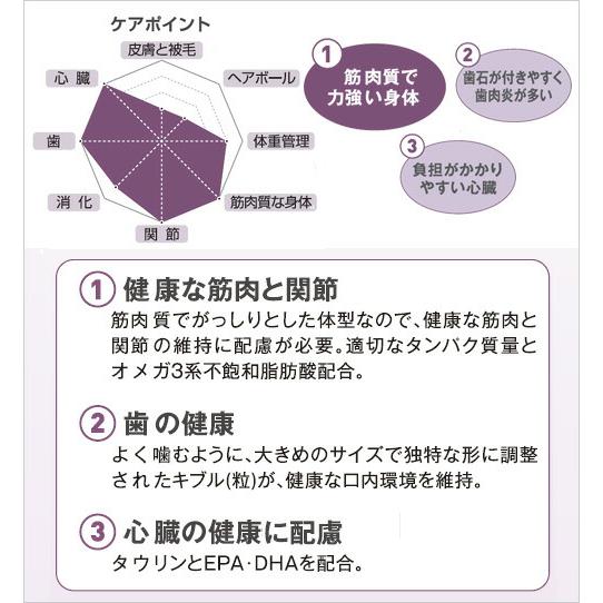 ロイヤルカナン　猫　ブリティッシュ　ショートヘア　４００ｇ　ジップ無し　お一人様５点限り｜chanet｜03