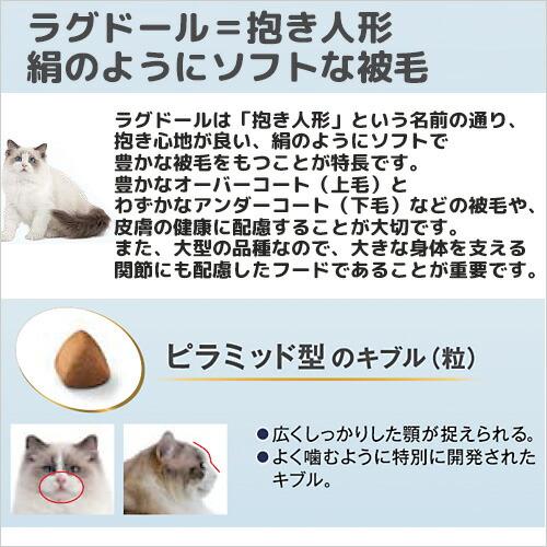 ロイヤルカナン　猫　ラグドール　成猫用　生後１２ヵ月齢から１２歳まで　２ｋｇ　ジップ付（キャットフード　ドライ）　お一人様５点限り｜chanet｜03