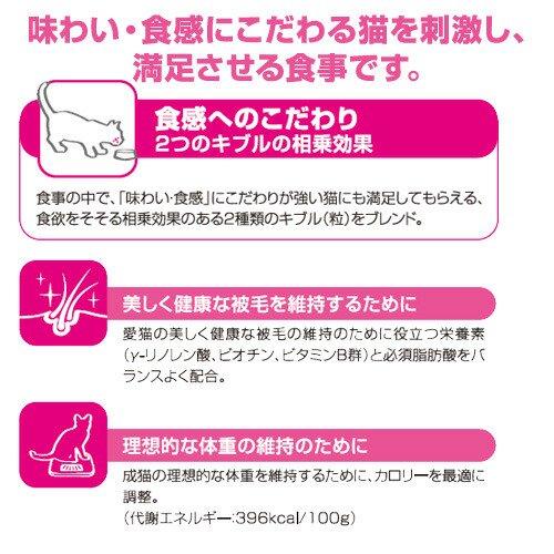 ロイヤルカナン　猫　セイバーエクシジェント　成猫用　２ｋｇ×４袋　３１８２５５０７１７１３７　お一人様１点限り　ジップ付_2
