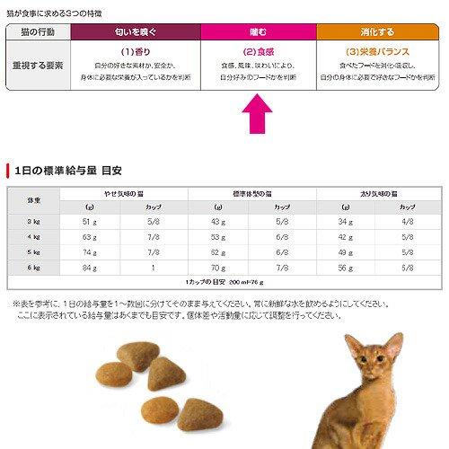 ロイヤルカナン（ROYAL CANIN） 猫 セイバーエクシジェント 成猫用