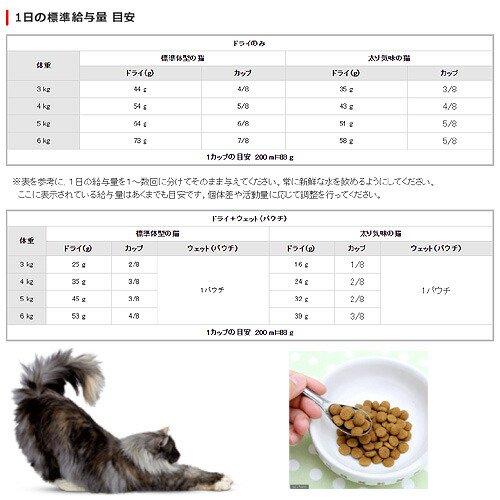 ロイヤルカナン インドア ロングヘアー 成猫用 2kg×4袋 ロイヤルカナン（ROYAL CANIN） 猫 インドア ロングヘアー 成猫用