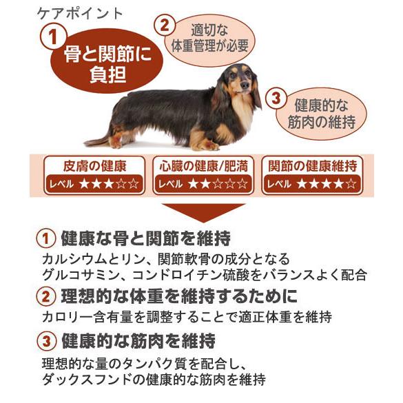 ロイヤルカナン　ダックスフンド　中・高齢犬用　３ｋｇ×３袋　お一人様１点限り　ジップ付｜chanet｜03