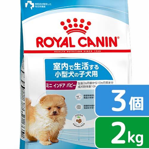 ロイヤルカナン　ミニ　インドア　パピー　子犬用　２ｋｇ×３袋　ジップ付　お一人様２点限り | ロイヤルカナン