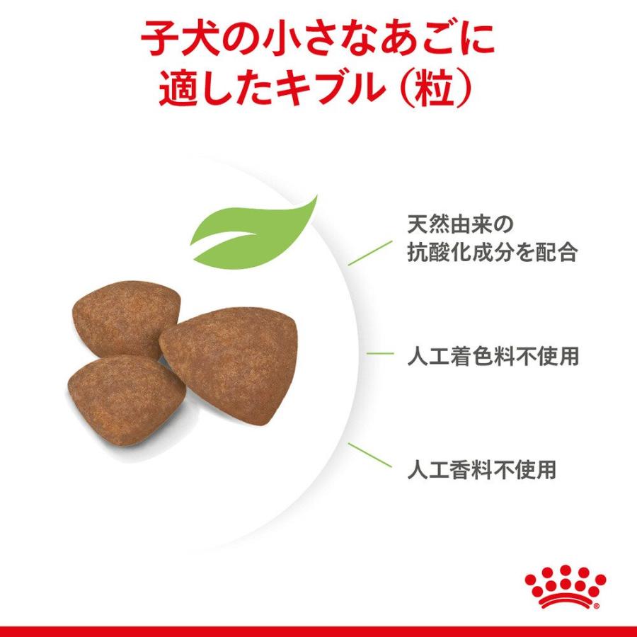 ロイヤルカナン（ROYAL CANIN） ミニ インドア パピー 子犬用 4kg
